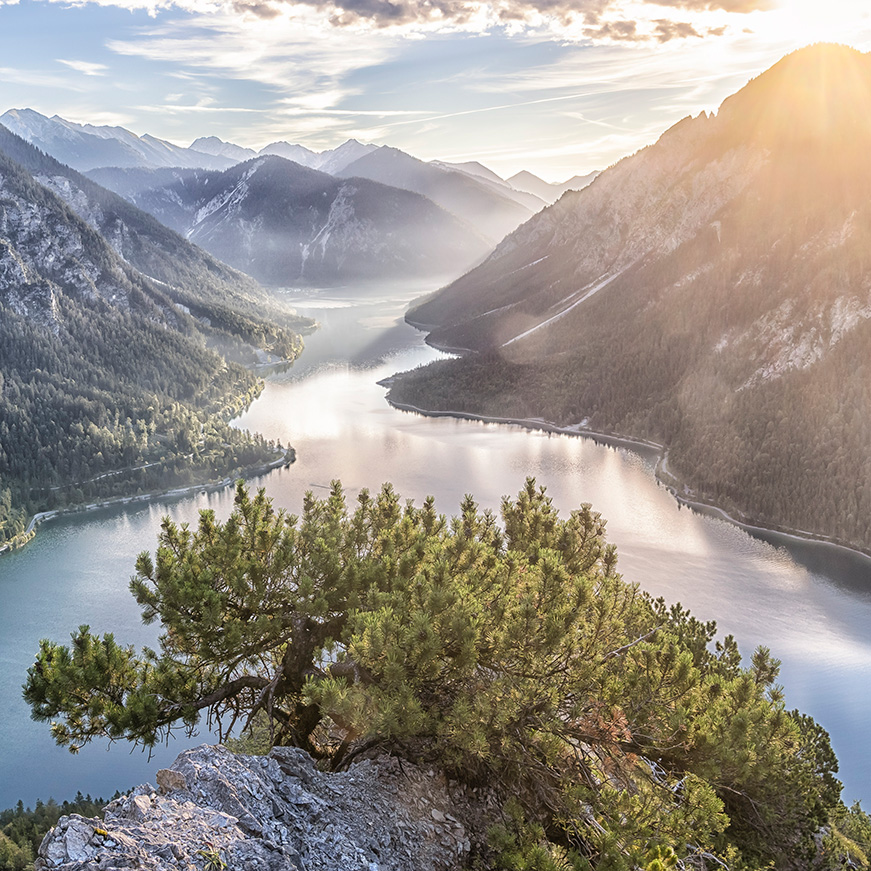 Landschaftsaufnahme Ausblick auf den Plansee und die umliegenden Berge